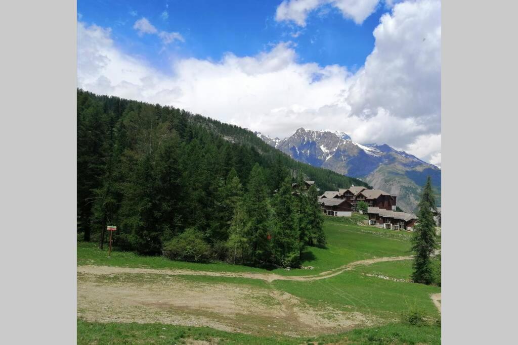 Appartement Puy Saint Vincent Alpes Du Sud Ete - Hiver Puy-Saint-Vincent Εξωτερικό φωτογραφία